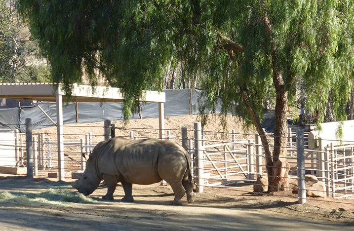 Associated Facilities  San Diego Zoo Wildlife Alliance