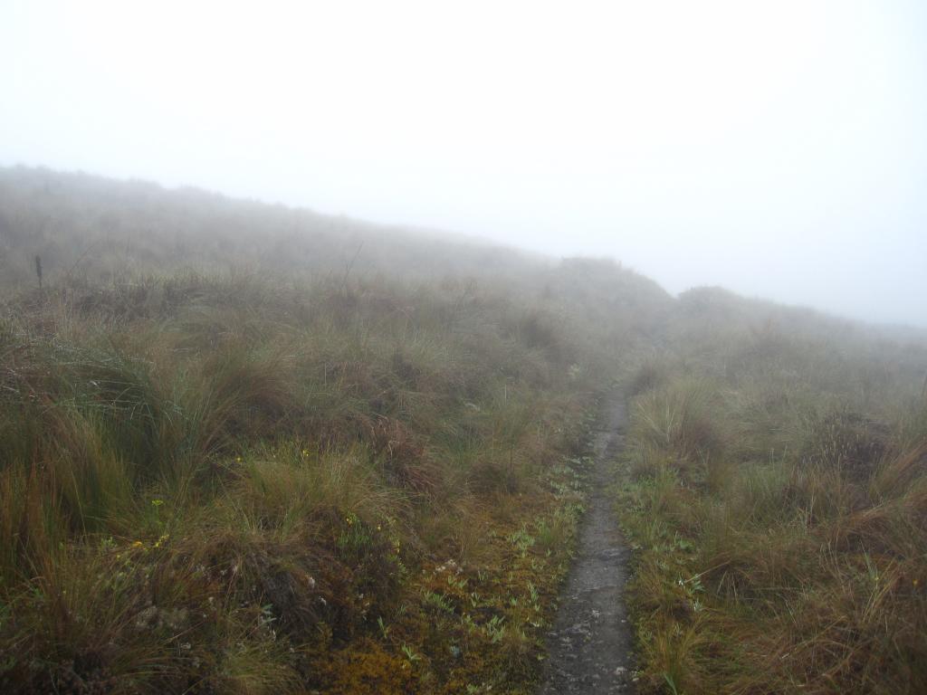 Dense fog, clouds, and rain are common in the Manu landscape and there are few human trails like this, so GPS units are valuable tools.