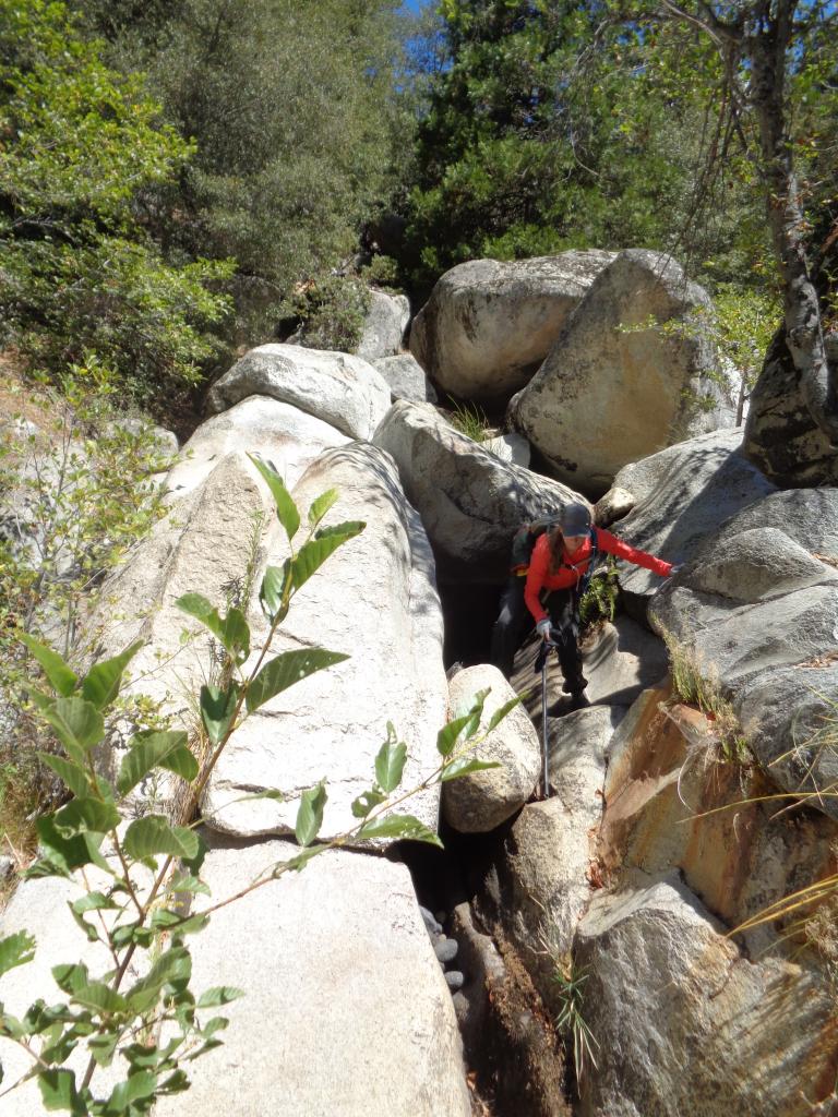 Nicole Gardner, senior research associate, climbing through rocky terrain at Dark Canyon during a post-reintroduction survey. Photo credit: Natalie Calatayud.