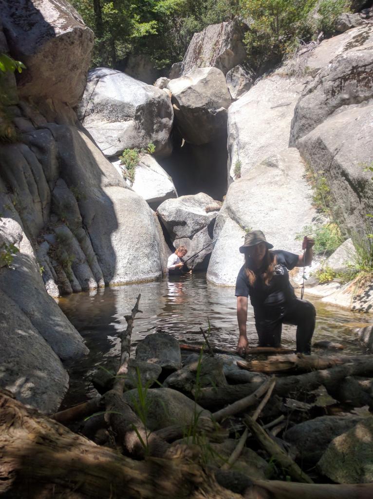 Michelle Curtis (research associate, foreground) and Jessica Ozog (summer fellow) searching for frogs in the pool at the bottom of the waterfall at Dark Canyon. Photo credit: Nicole Gardner.