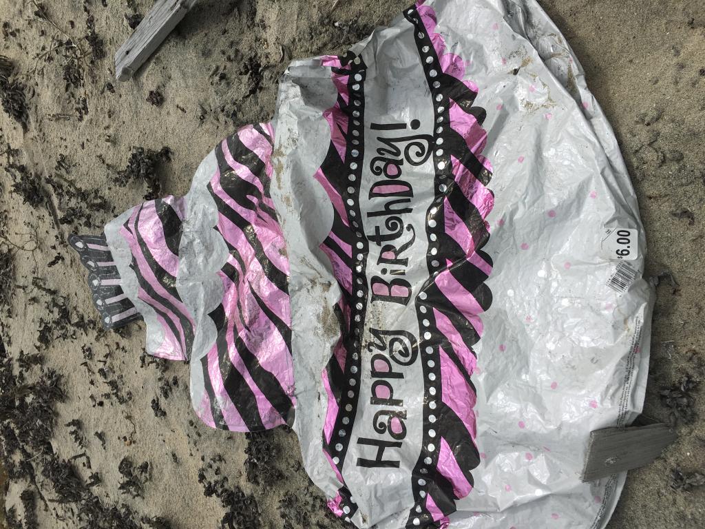 Buying a birthday balloon for your friend: $6; properly disposing of the balloon so that it doesn’t end up on the beach: priceless. (Photo by Peggy Boone, courtesy of Naval Base Coronado)