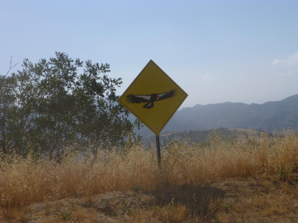 Entering California condor territory!