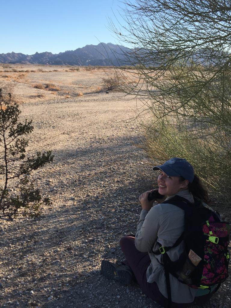 Me observing a desert tortoise from a distance. Photo: Camden Bruner