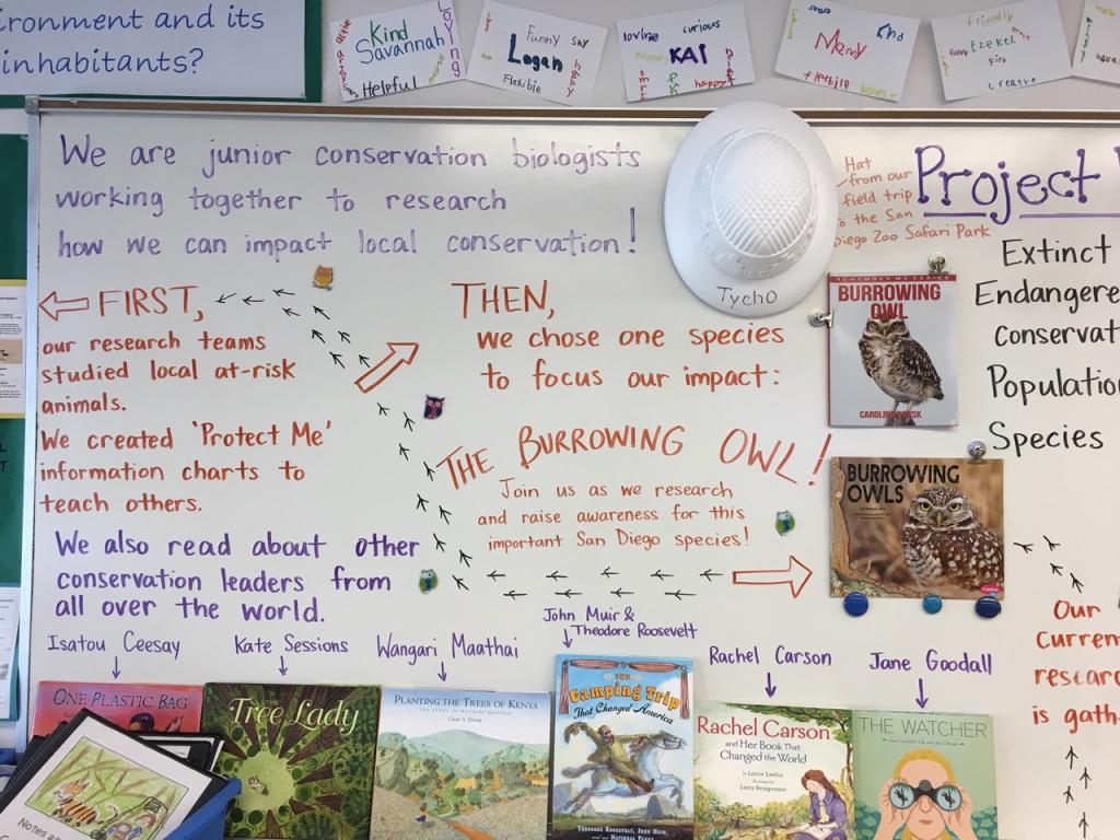 Back in the classroom, teachers and students create a plan to help burrowing owls in San Diego.