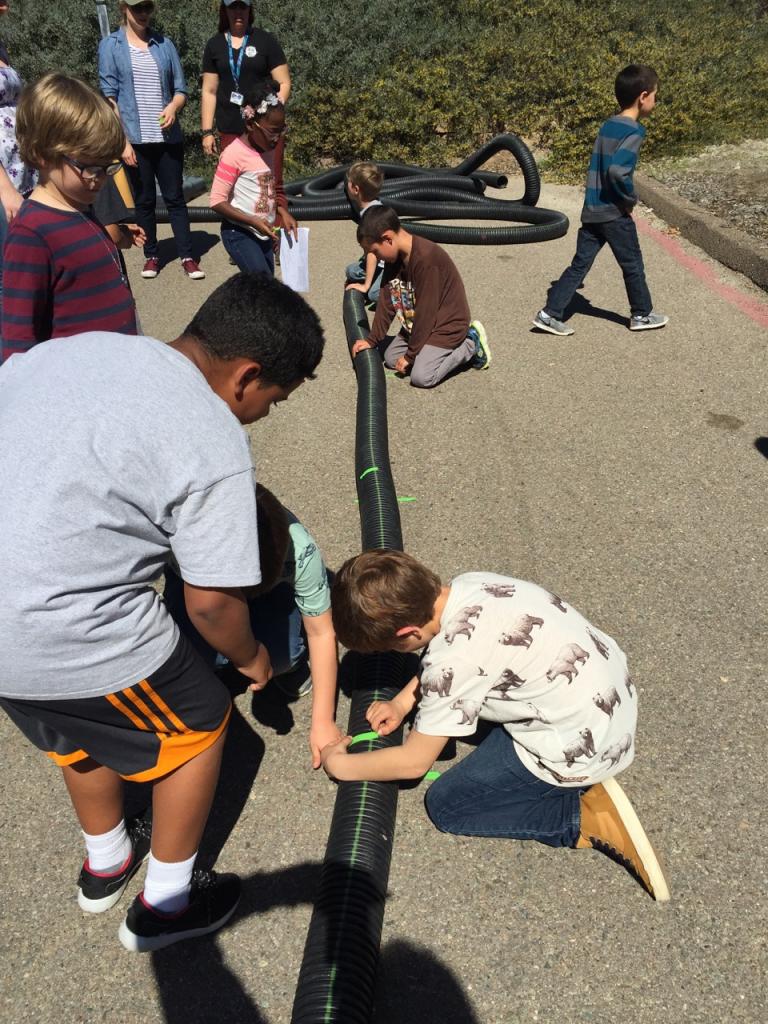 Kids and parents help measure out lengths of tubing that will be cut to size for artificial burrows.