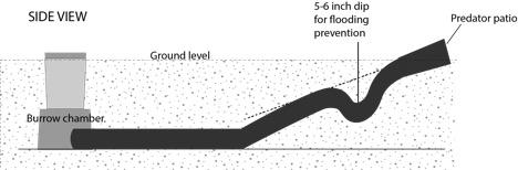 Figure 4. A side-view diagram of an artificial burrow.