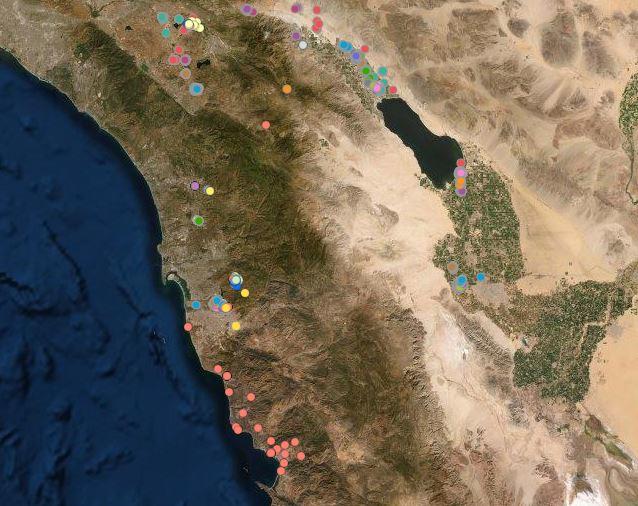 GPS backpack location data in Southern California and Mexico from different owls (shown in different colors) and their movements throughout 2019.