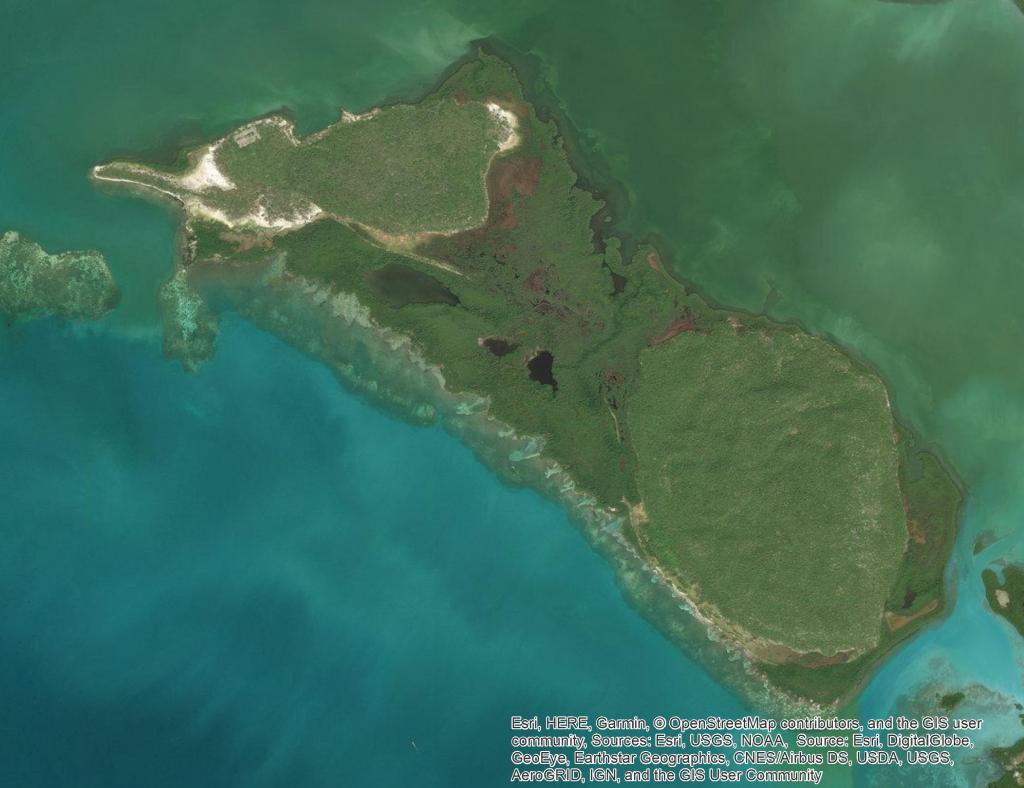 Goat Islands: Little Goat Island with World War II era tarmac remnants upper left near shoreline. Extensive mangroves fill the space completely between Little and Great Goat Island.  Satellite imagery from ESRI.