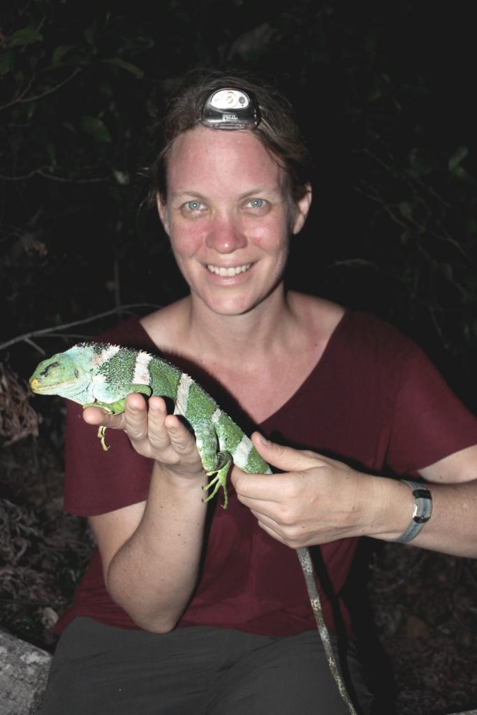 The author and a Fiji iguana. Photo by Richard Gibson, Curator of Ectotherms and Birds, Auckland Zoo.