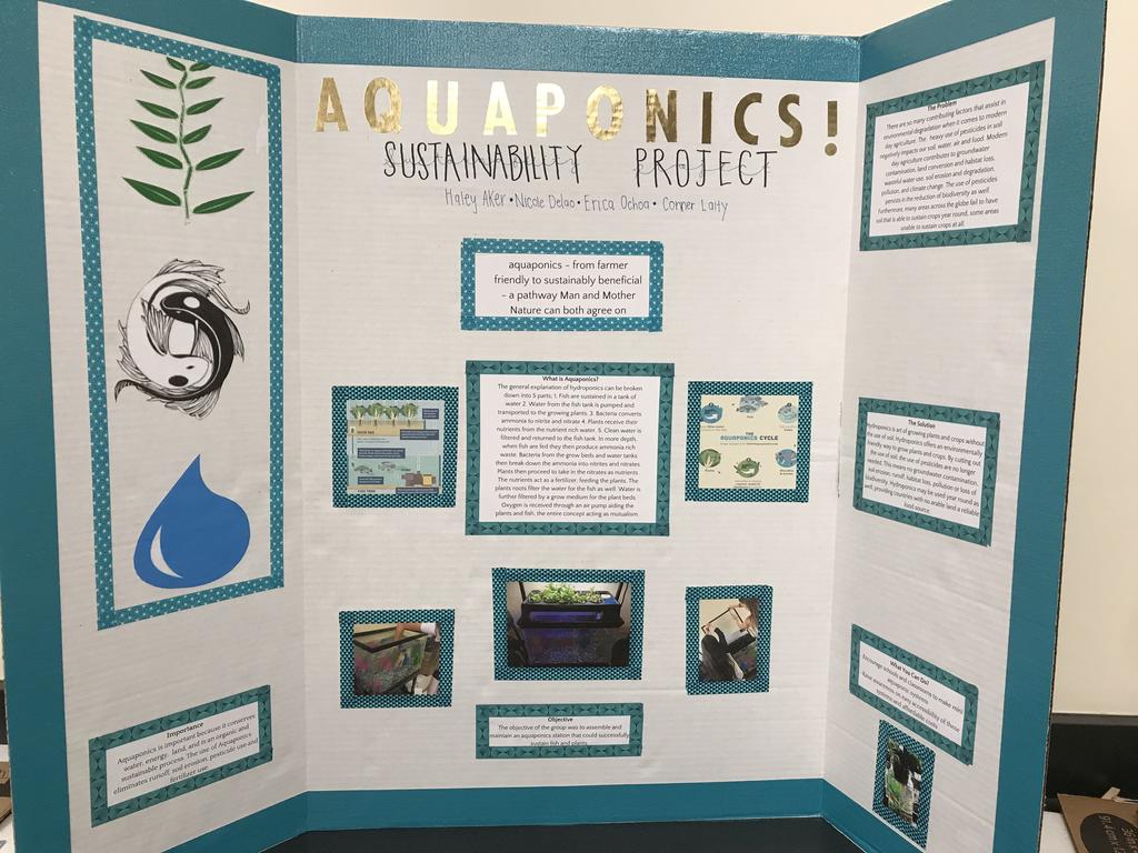 Under the mentorship of Michelle Stallings, AIP student, Cathedral Catholic High School Environmental Club students developed projects around sustainability topics like aquaponics.