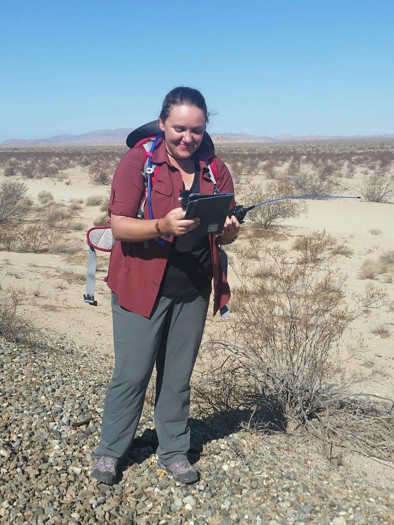 Using a GPS to mark the Tenaja site in order to monitor for the Peninsular bighorn sheep.