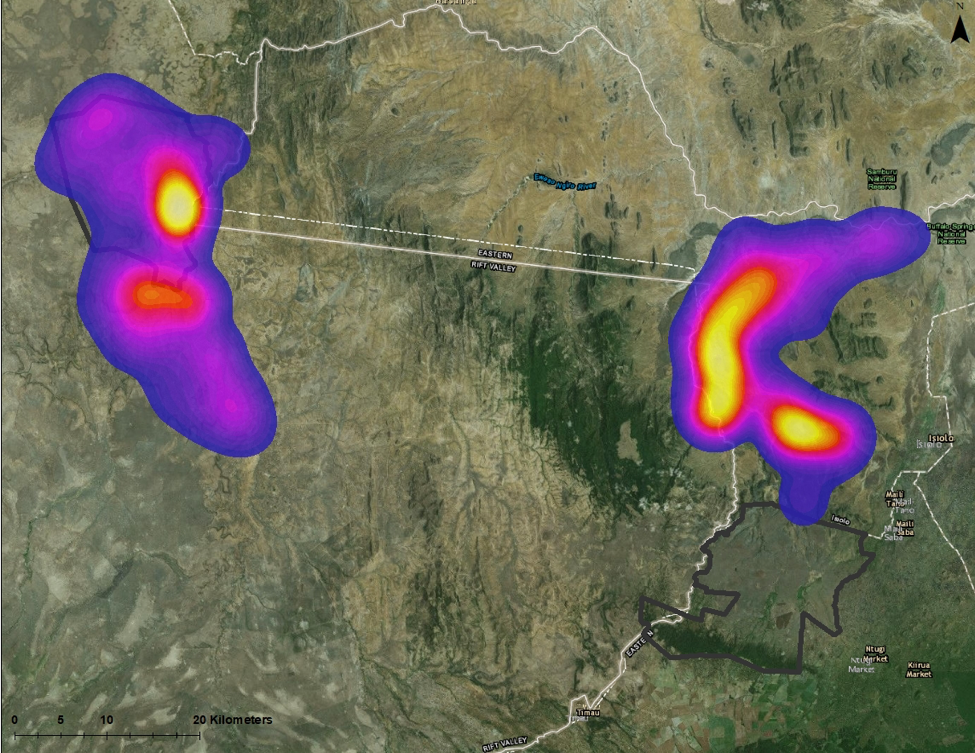 This heat map shows the areas that our “collared” giraffe are favoring. Loisaba Conservancy is show to the northwest and Lewa Conservancy is shown in the bottom right corner of the map. The brightest spots are the areas where the most data points for the individuals have been reported. Every hour the satellite unit sends a data point of the “collared” giraffe’s location, all of these data points were input into a processing system and the areas with the most data points (meaning the most frequented areas by the collared giraffe) are shown by this heat map.