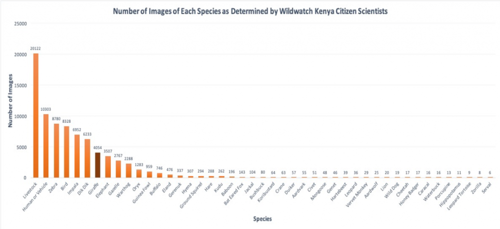 The number of images per species from the images classified on WWK.