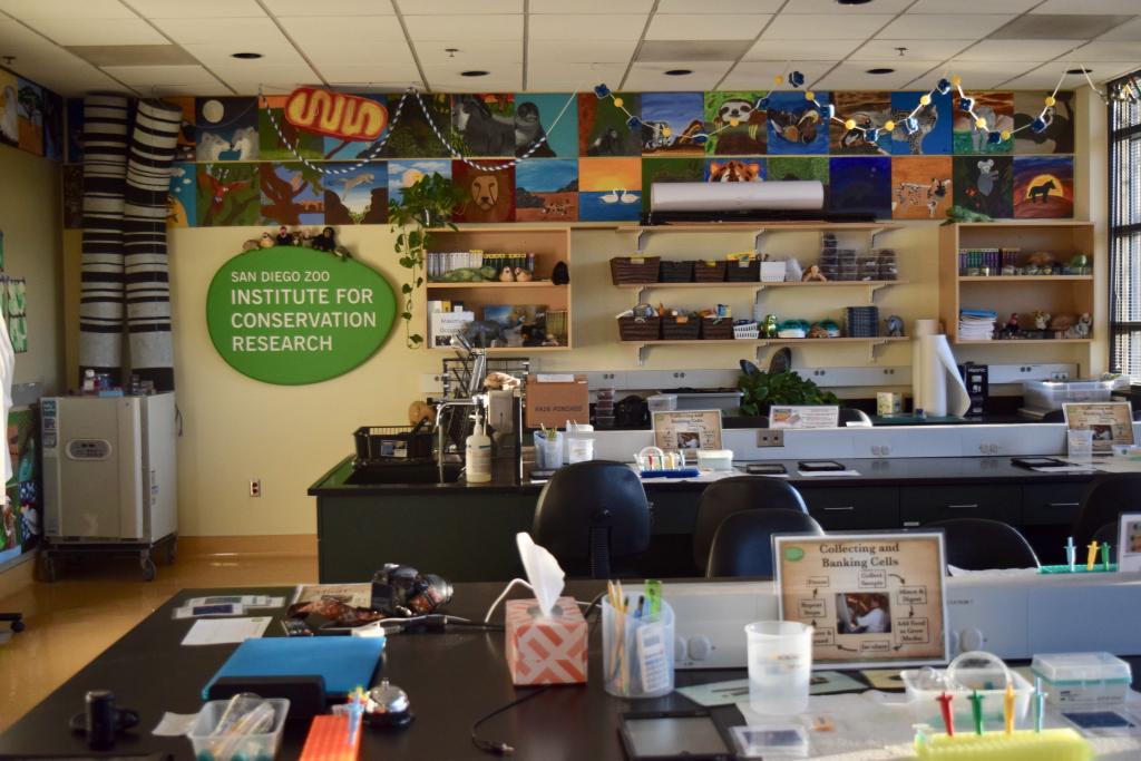 Saving Species One Survey at a Time | San Diego Zoo Wildlife Alliance