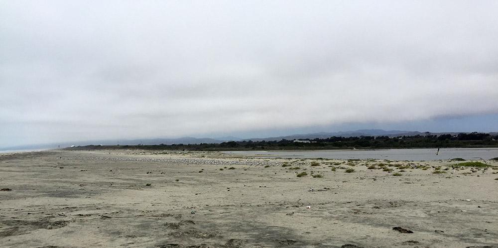 Even before the powerful storm swept through, the plovers’ nesting beach was a desolate spot. (Photo: Andrew Motto, San Diego Zoo Global on MCB Camp Pendleton)