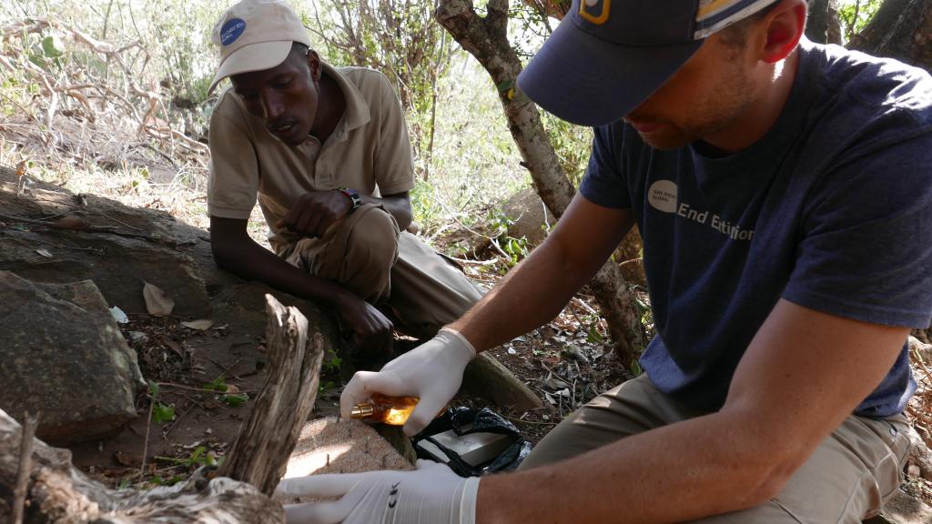Dr. Nicholas Pilfold applies cologne to a scent pad, while Kenyan field assistant Ambrose Letoluai learns the method of application. Scent pads are also adorned with hair snares, to capture DNA from leopards that decide to rub.  © Megan Owen